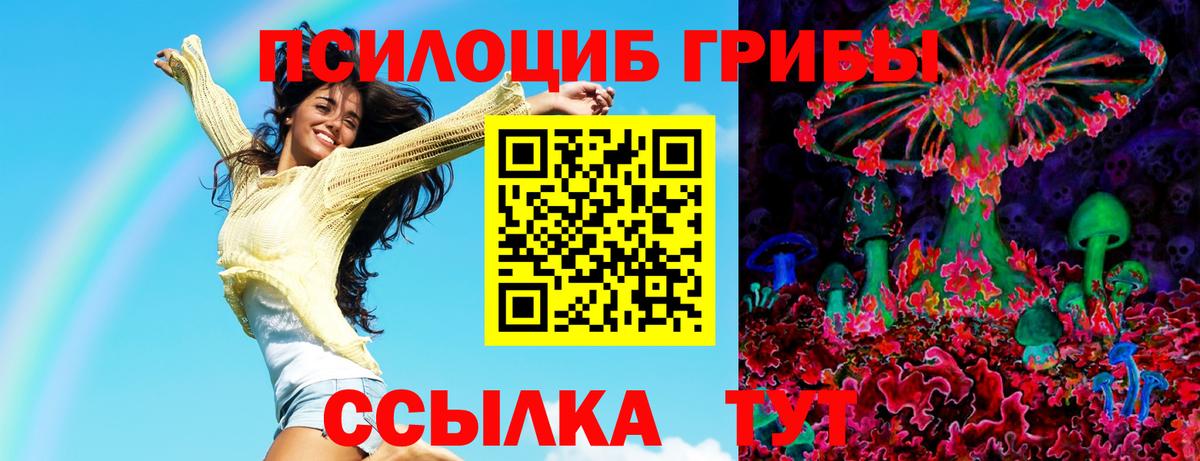 Белогорск  Псилоцибиновые грибы ЛСД  Вход с VPN  Галлюциногенные грибы Psilocybe 